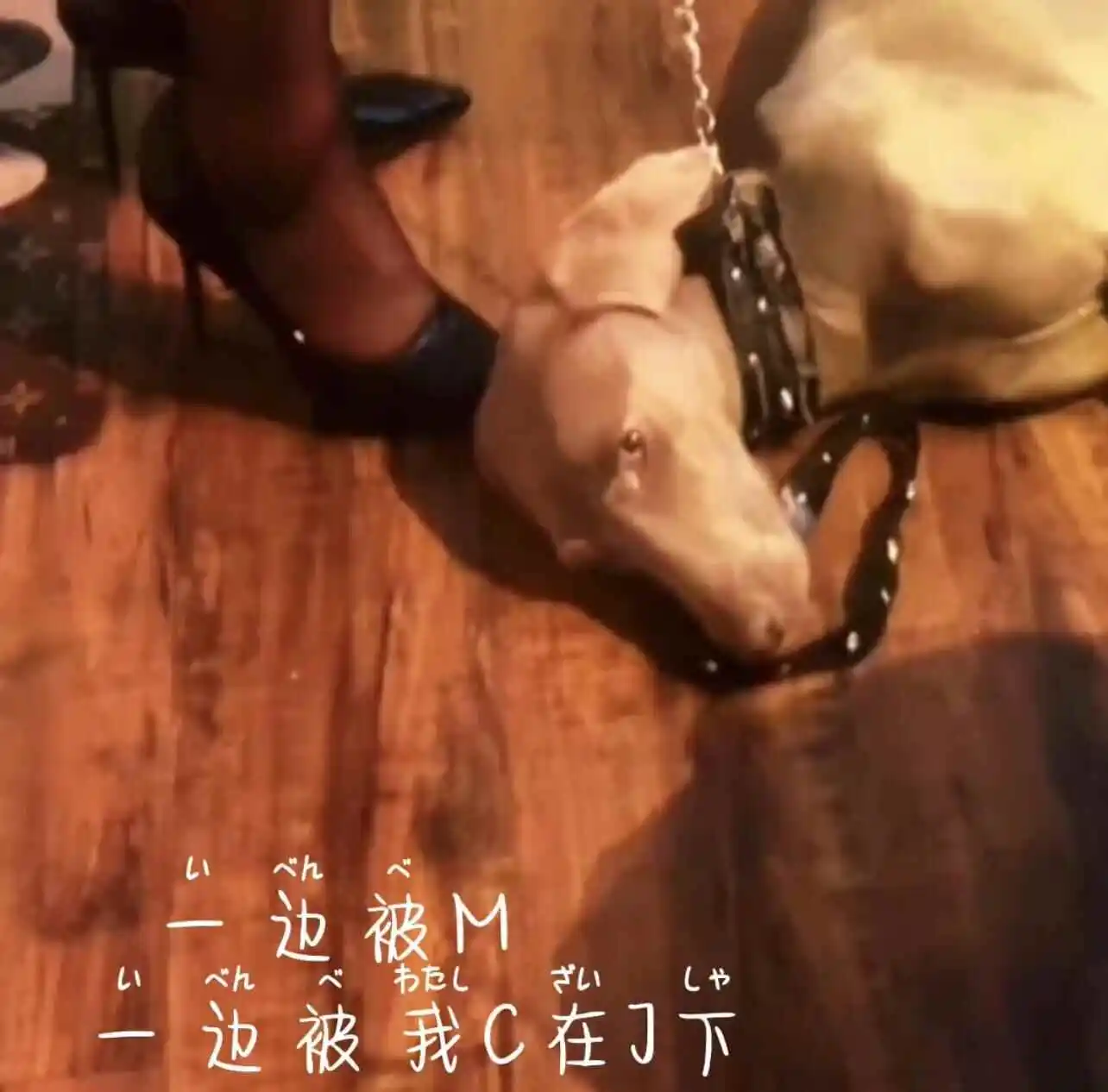 西檬之家-s属性：字母圈新人必知的核心概念与安全指南