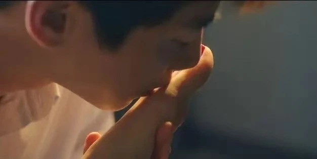 西檬之家-字母圈的K9犬系是什么？