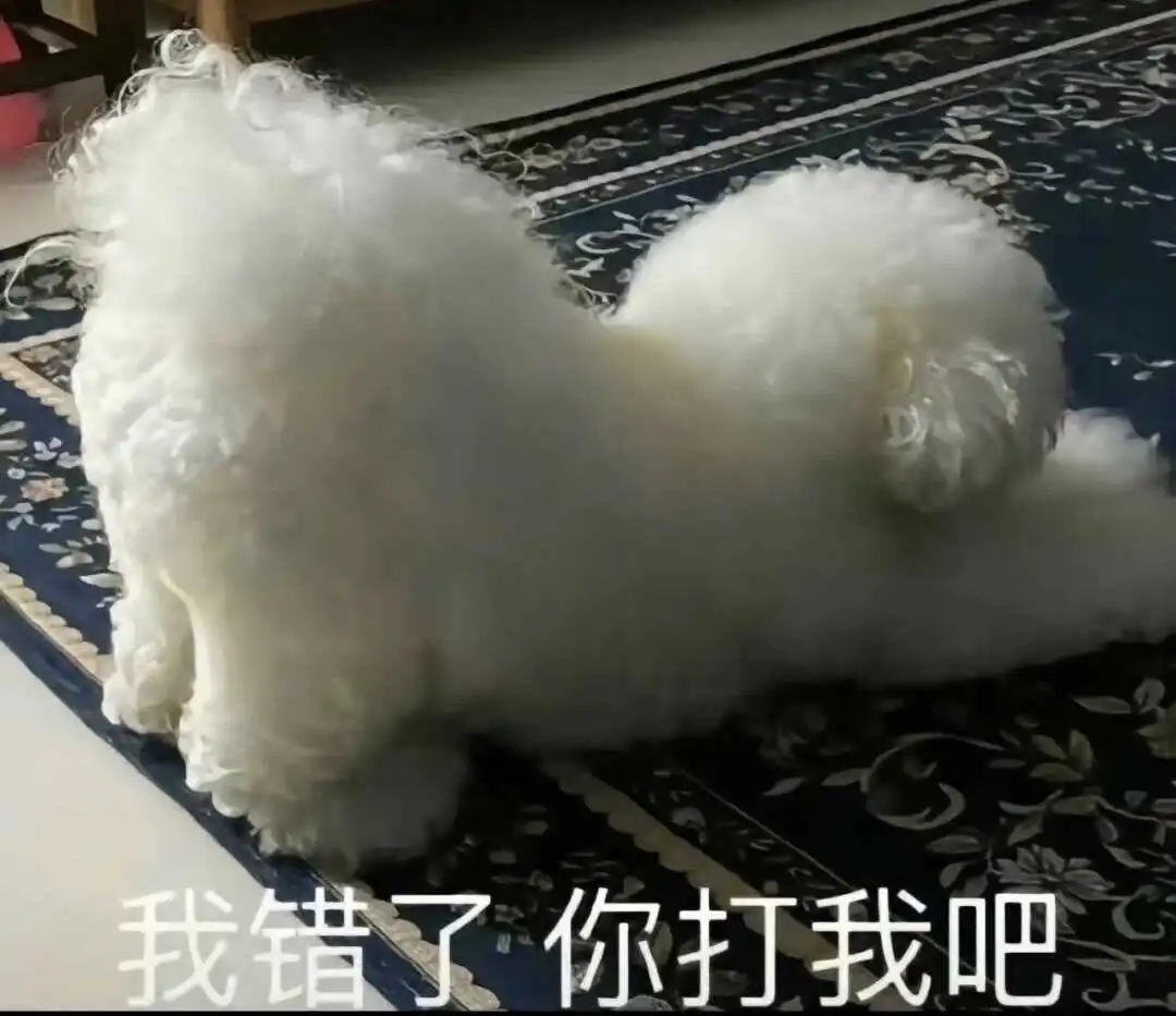 SM亚文化 - 2023_12_05_21_26_IMG_9543