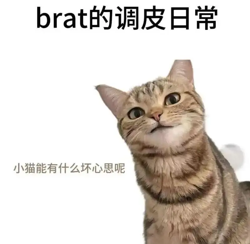 西檬之家-K9犬系怎么玩？引领你的字母圈Enter新方式
