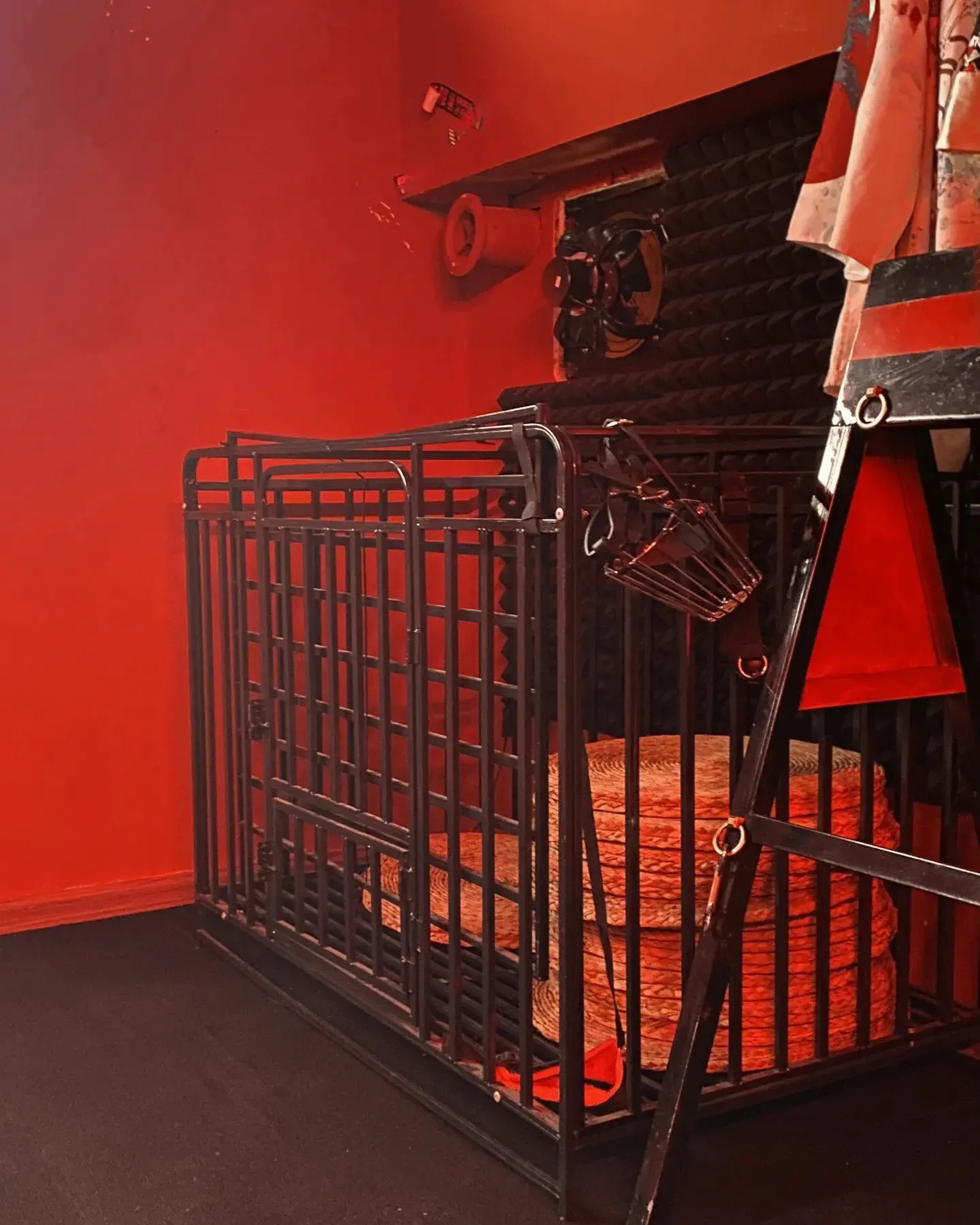 女王的自我觉醒：探索字母圈BDSM的核心术语与安全实践