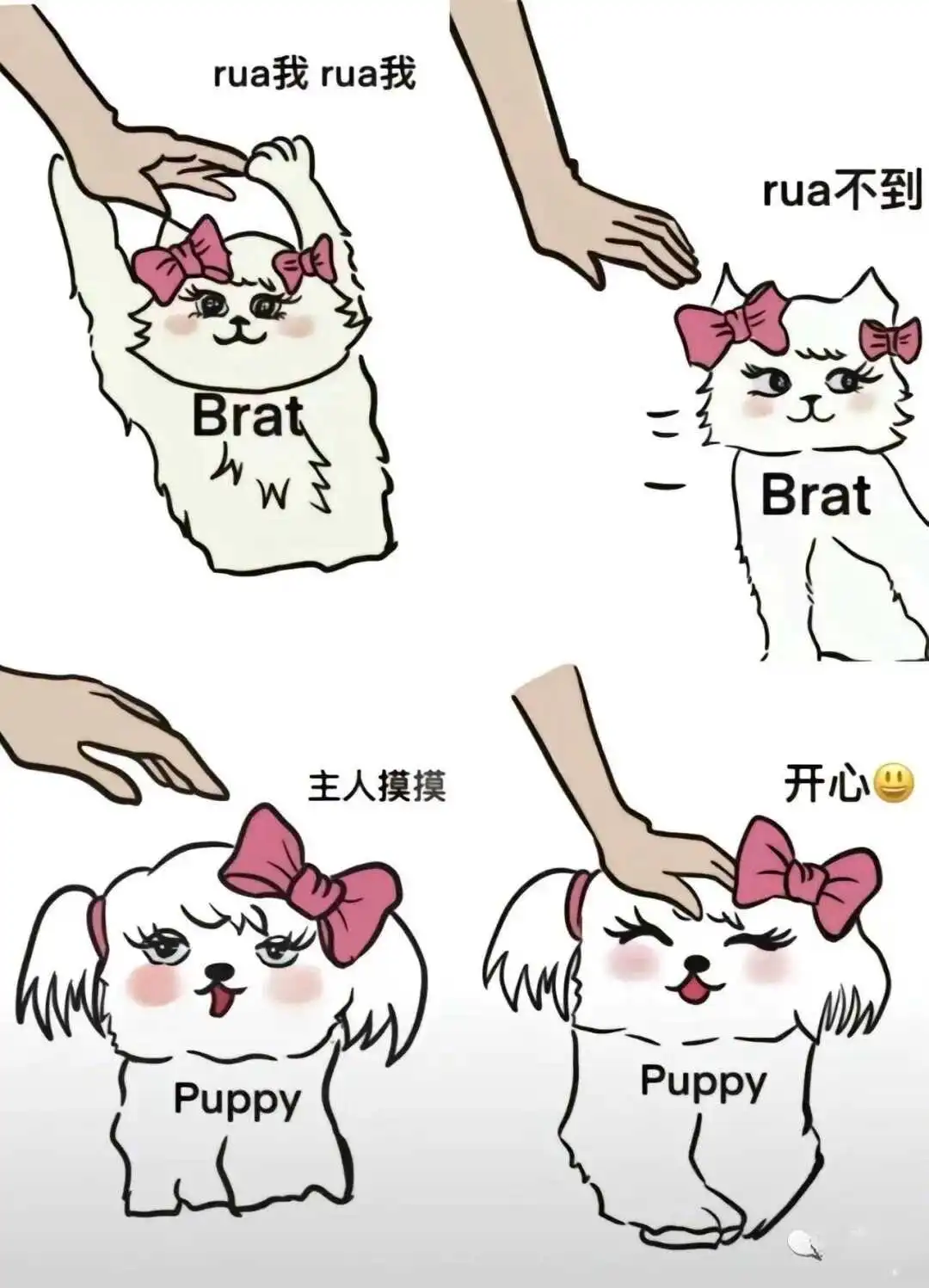 西檬之家-BDSM是什么含义及入门指南