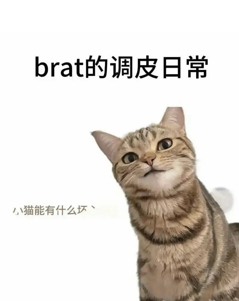 西檬之家-PE是什么？BDSM中的权力交换与信任关系指南