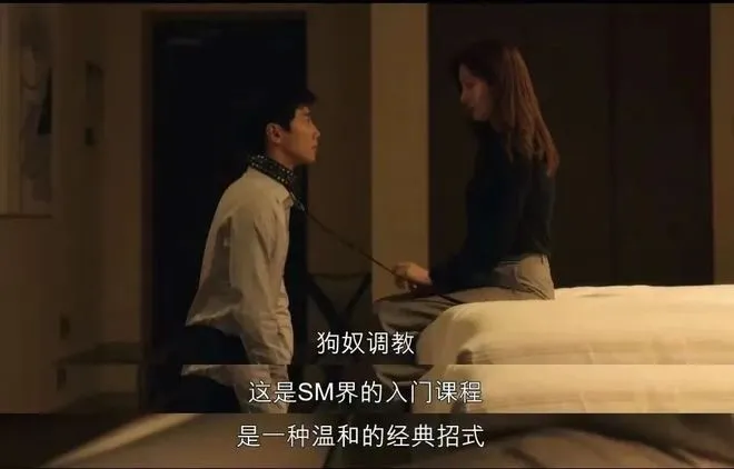 西檬之家-k9犬系解析：BDSM亚文化中的忠诚与服从