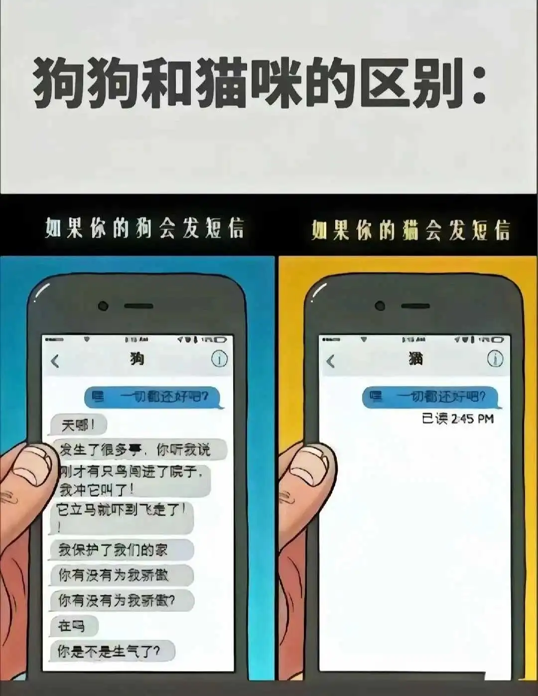 西檬之家 Sp实践指南